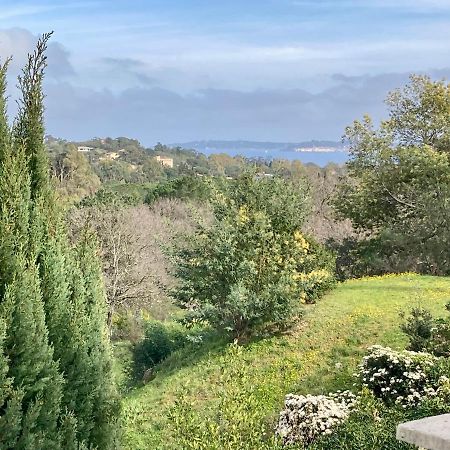 Les Restanques Maison 14 Chenes Grimaud Bagian luar foto
