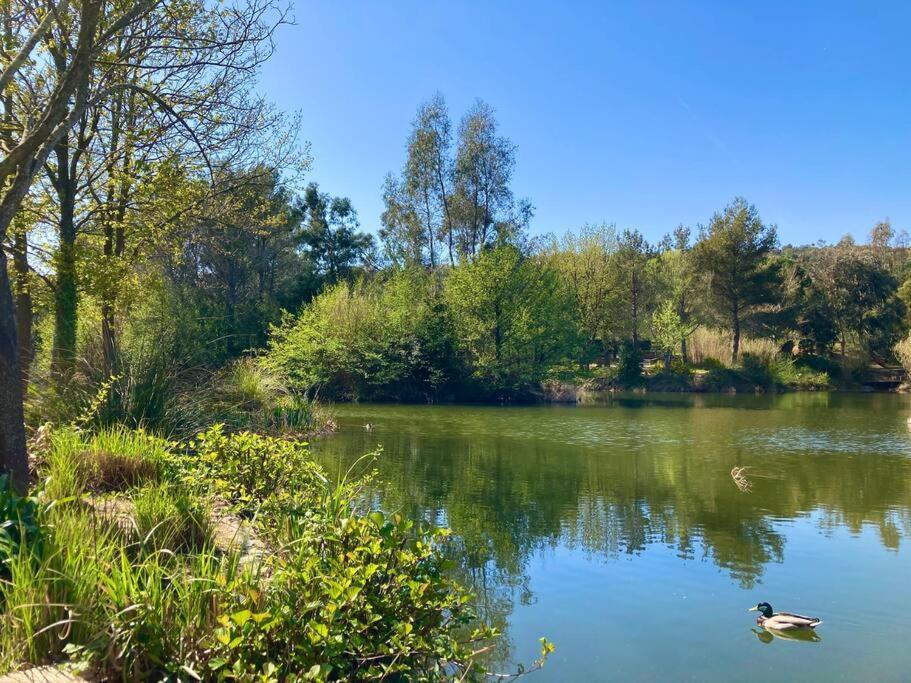 Les Restanques Maison 14 Chenes Grimaud Bagian luar foto